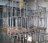  TUBULAR CAGES